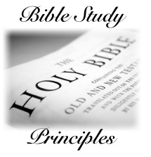Image result for type and antitype in the bible