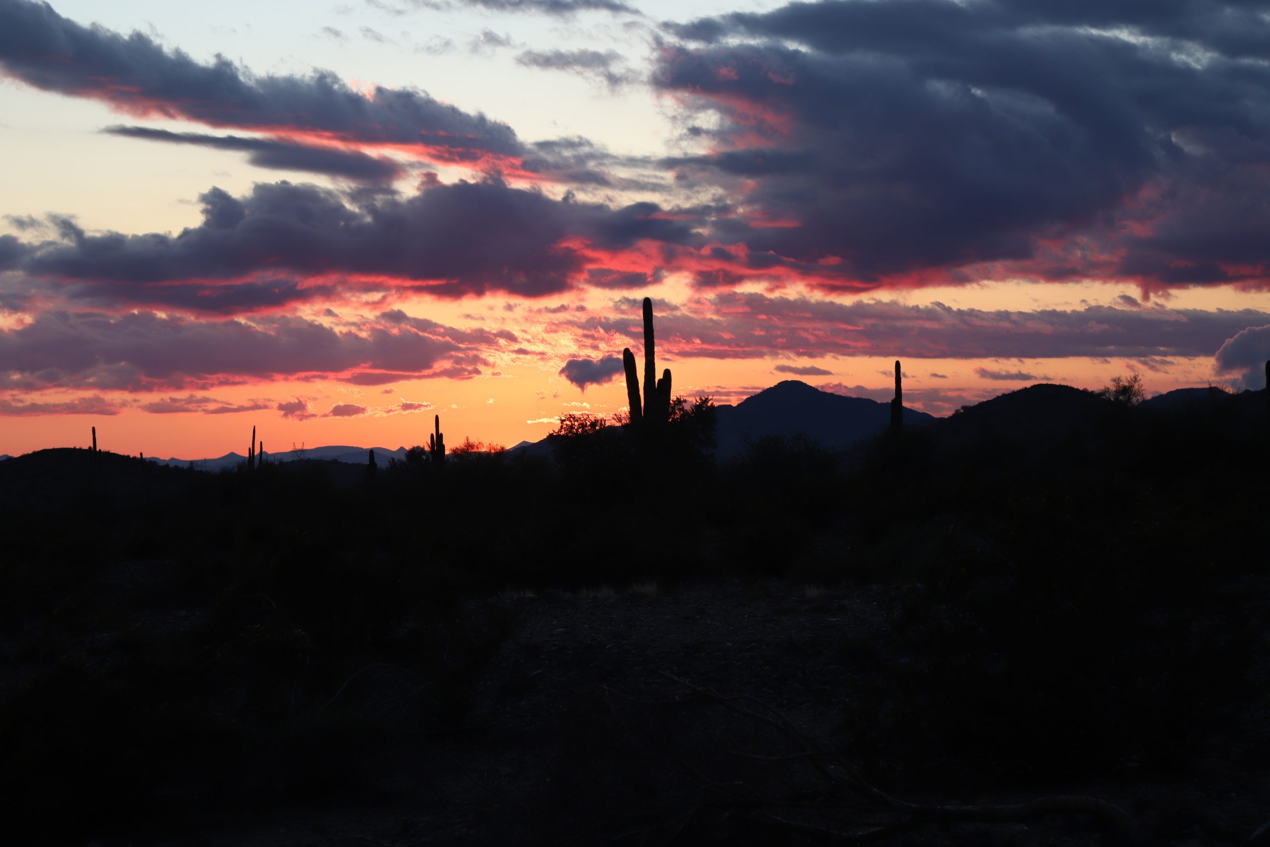 Silhouette of a desert landscape with cacti at sunset. The sky is filled with dark clouds and vibrant orange, pink, and purple hues, with mountains in the background.
